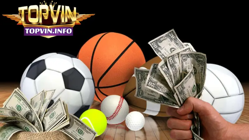 Những môn thể thao Topvin hấp dẫn nhất
