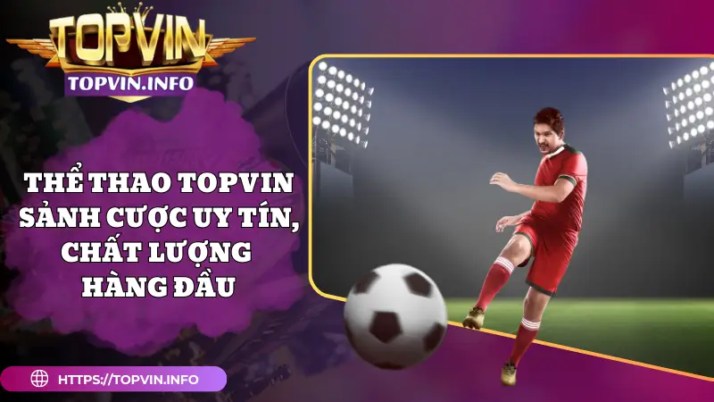Thể Thao Topvin - Sảnh Cược Uy Tín, Chất Lượng Hàng Đầu